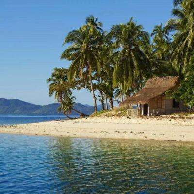 乐鱼官方app下载