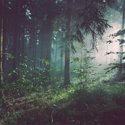 江南官方网站下载app下载